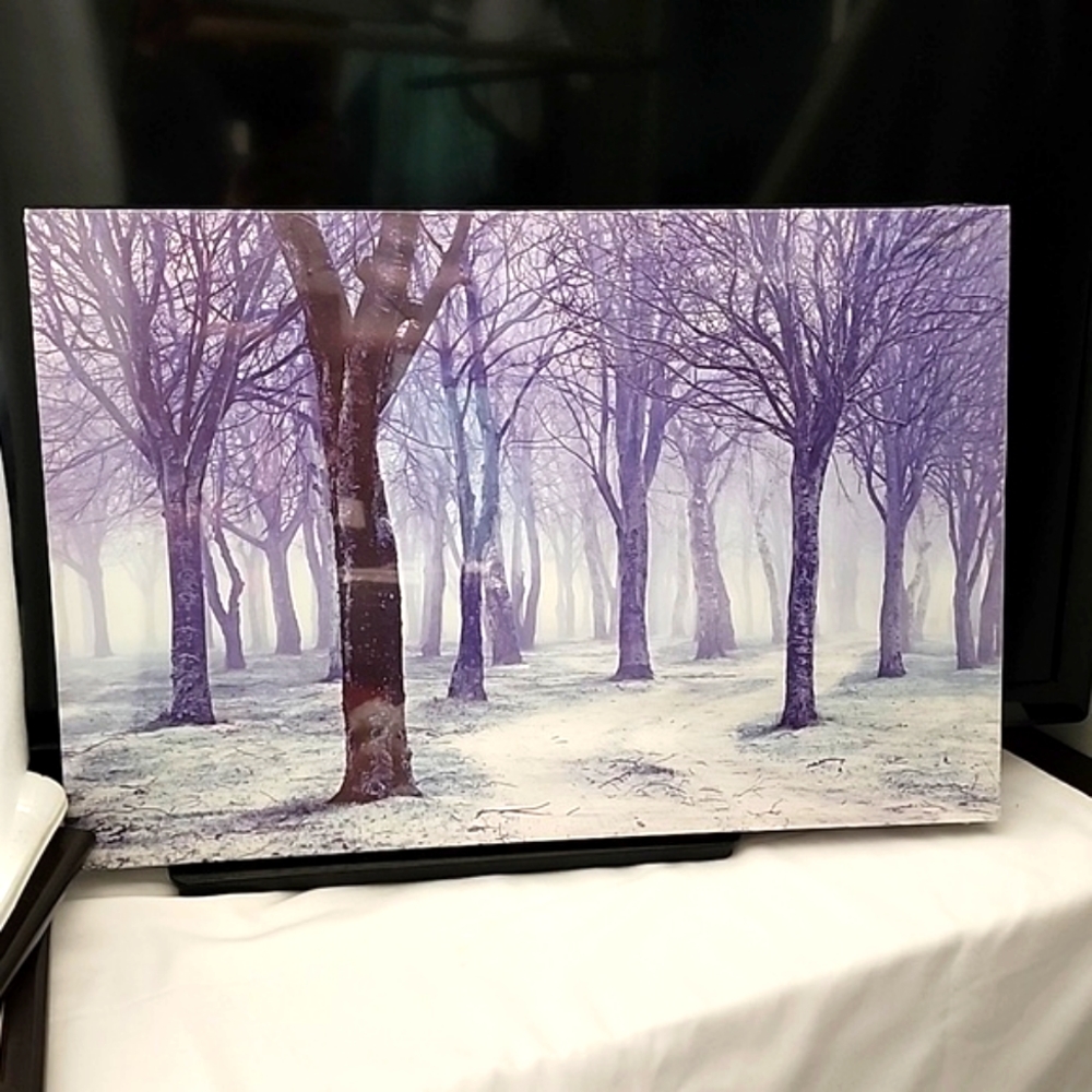 Canva Wall Art. Lighted. Forest with fog and snowy ground.